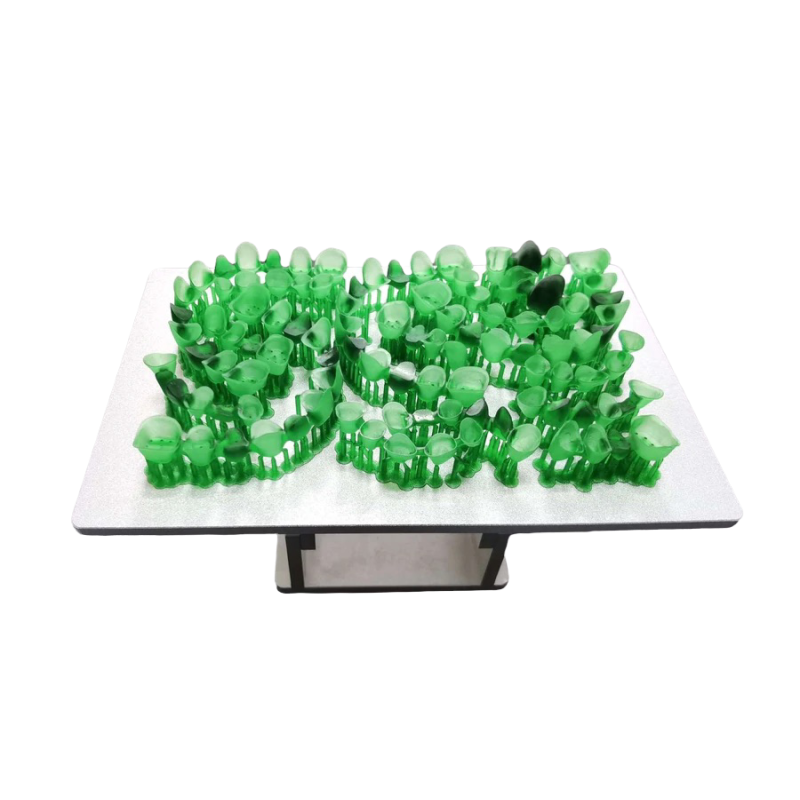 EPAX Castable Resin for Dental, 405nm