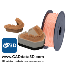 Arfona Dental Model Filament